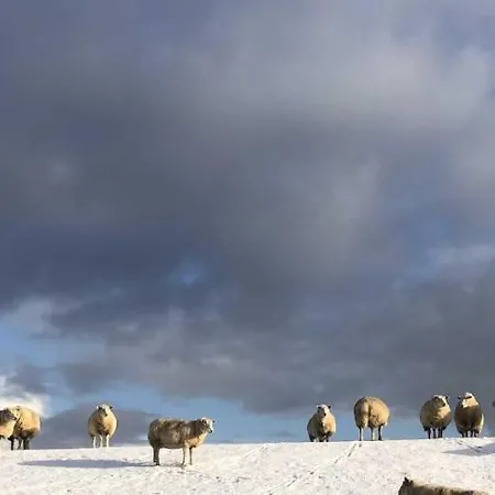 Tief 10 Traumblick 1005