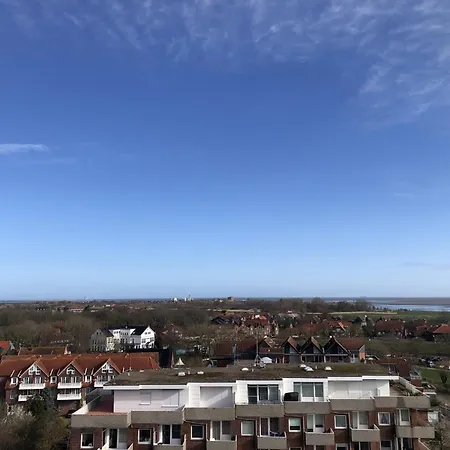 Tief 10 Traumblick 1005 * Schillig