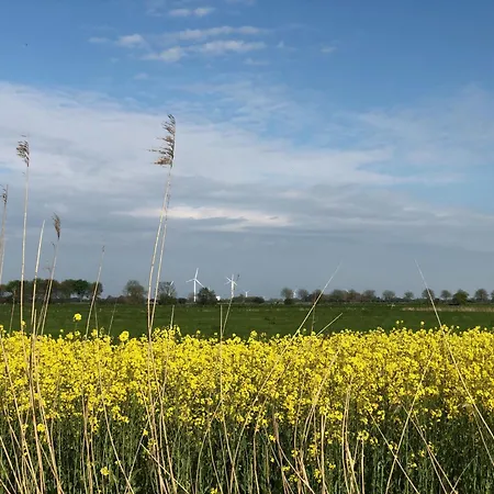 Tief 10 Traumblick 1005 Daire Schillig