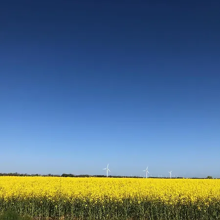 Daire Tief 10 Traumblick 1005