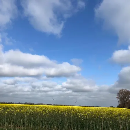 Tief 10 Traumblick 1005 Daire *