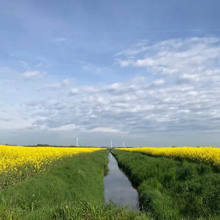 Tief 10 Traumblick 1005