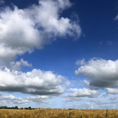 Tief 10 Traumblick 1005 *