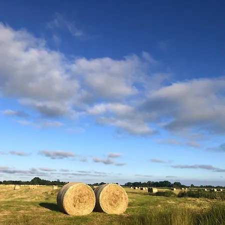 Διαμέρισμα Tief 10 Traumblick 1005 *