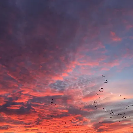 Tief 10 Traumblick 1005