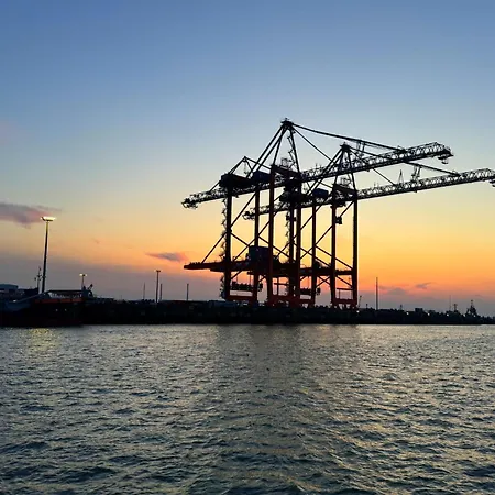 Tief 10 Traumblick 1005 *