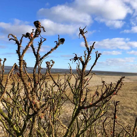 Daire Tief 10 Traumblick 1005