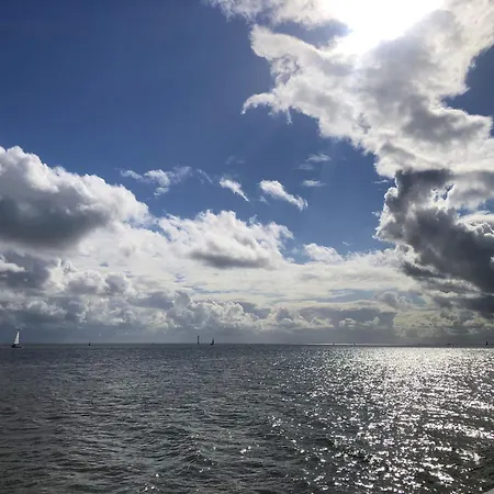 Tief 10 Traumblick 1005 Schillig