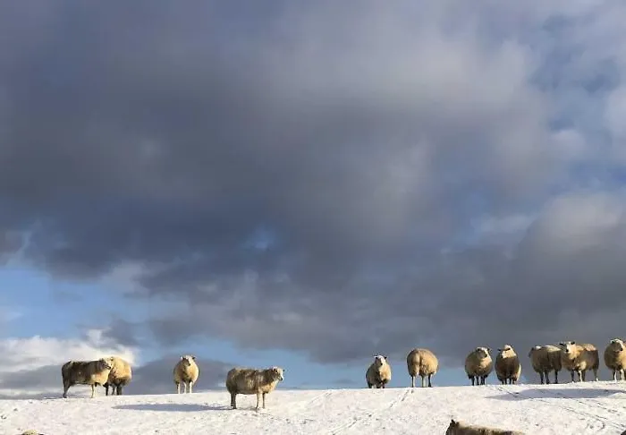 Tief 10 Traumblick 1005