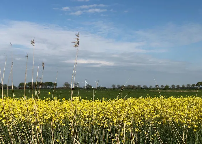 Tief 10 Traumblick 1005 Апартаменты Шиллиг