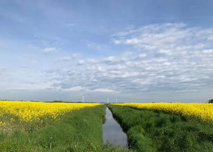 Tief 10 Traumblick 1005