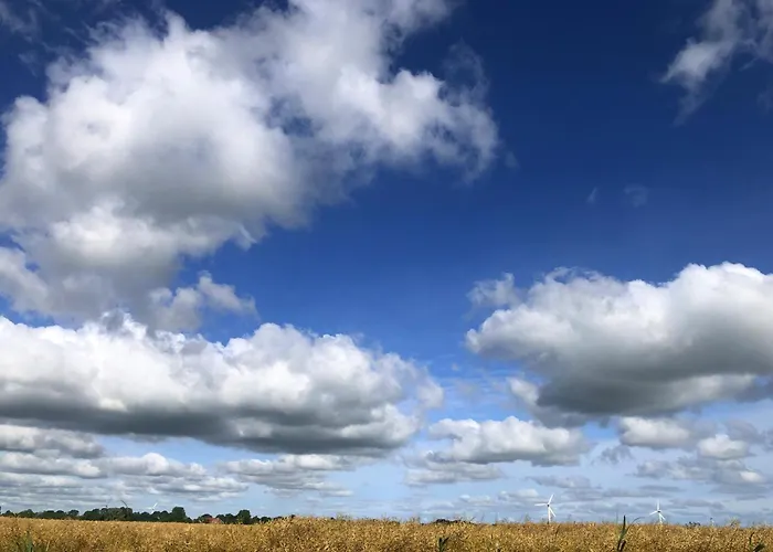 Tief 10 Traumblick 1005 *