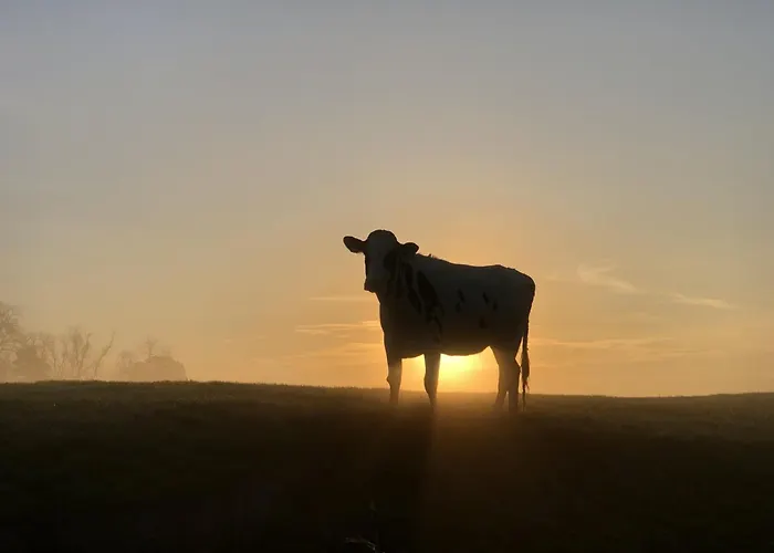 Tief 10 Traumblick 1005