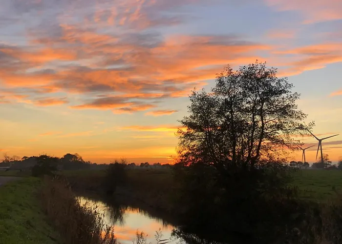 Tief 10 Traumblick 1005 Шиллиг