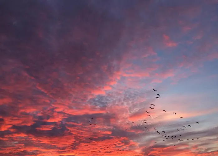 Tief 10 Traumblick 1005