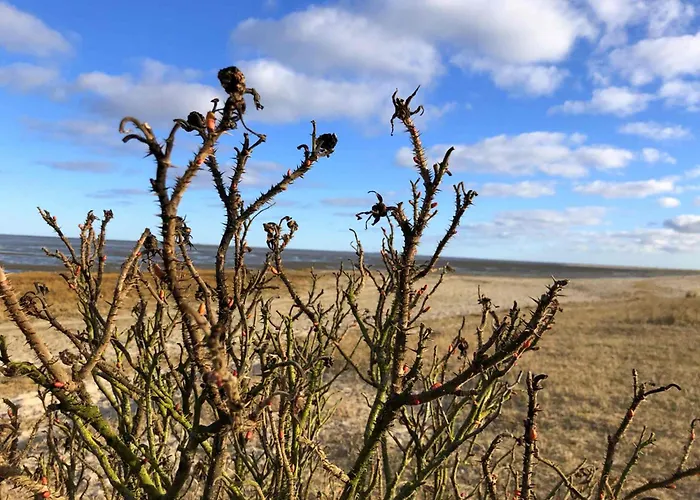 Апартаменты Tief 10 Traumblick 1005