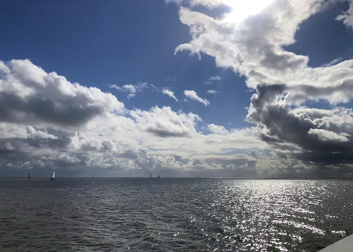 Tief 10 Traumblick 1005 Шиллиг